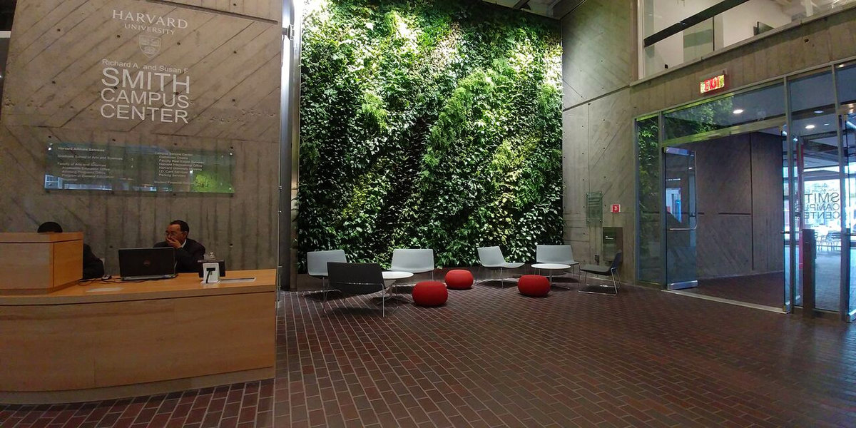 The Ultimate New York Apartment | Installing A Living Wall With Plantwalldesign
