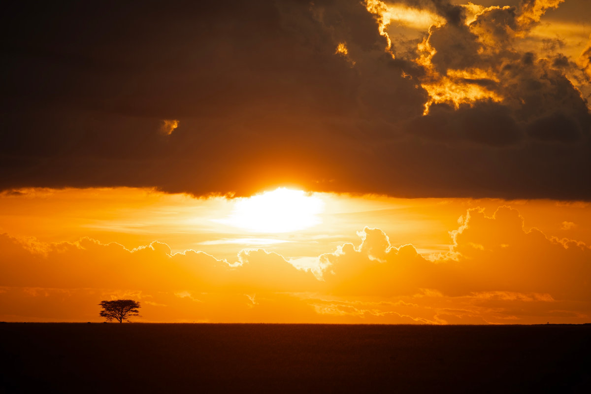 A Safari at Ol Donyo | Kenya’s Crown Jewel of Conservation, Luxury, and Wild Majesty